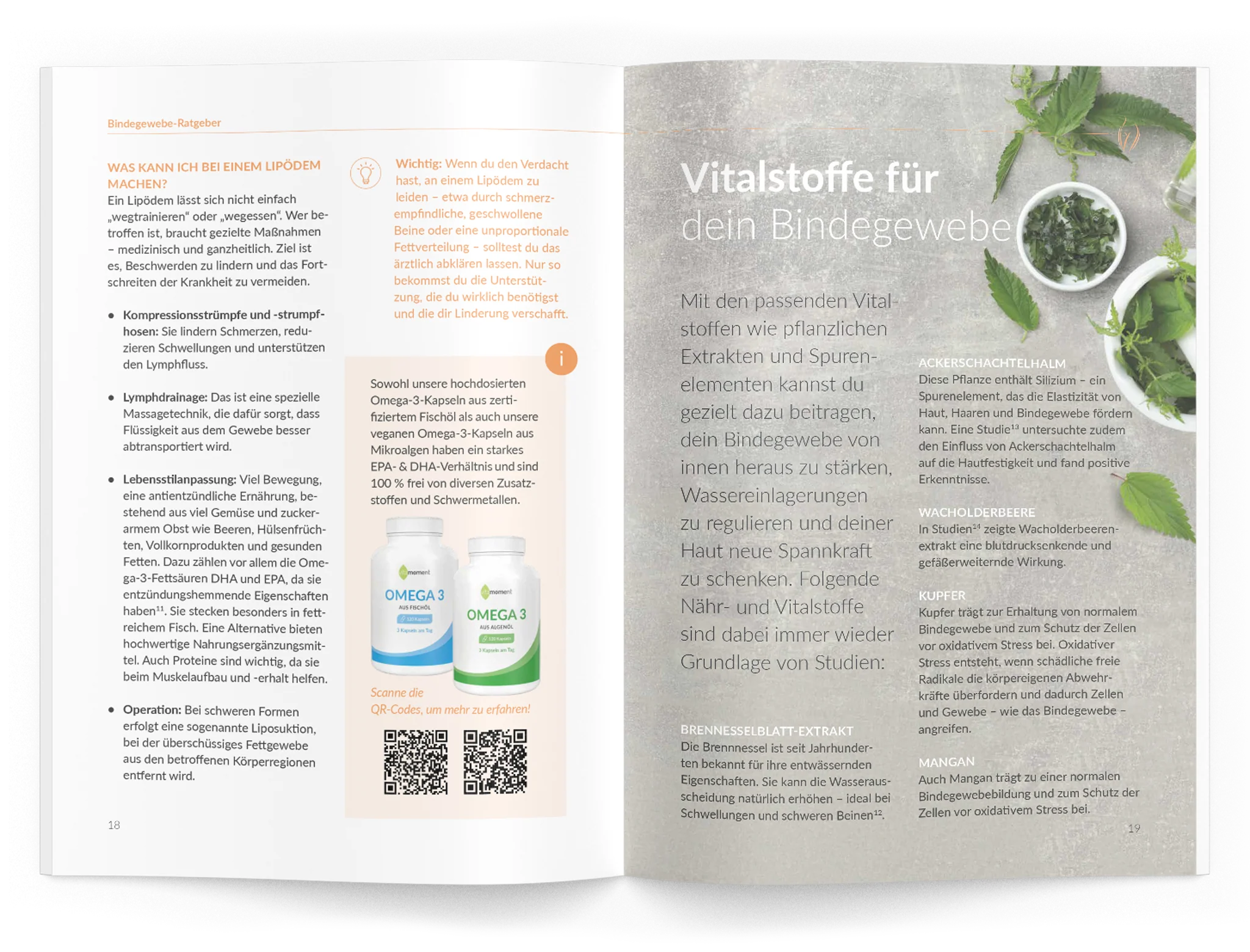 Vorschaubild 4