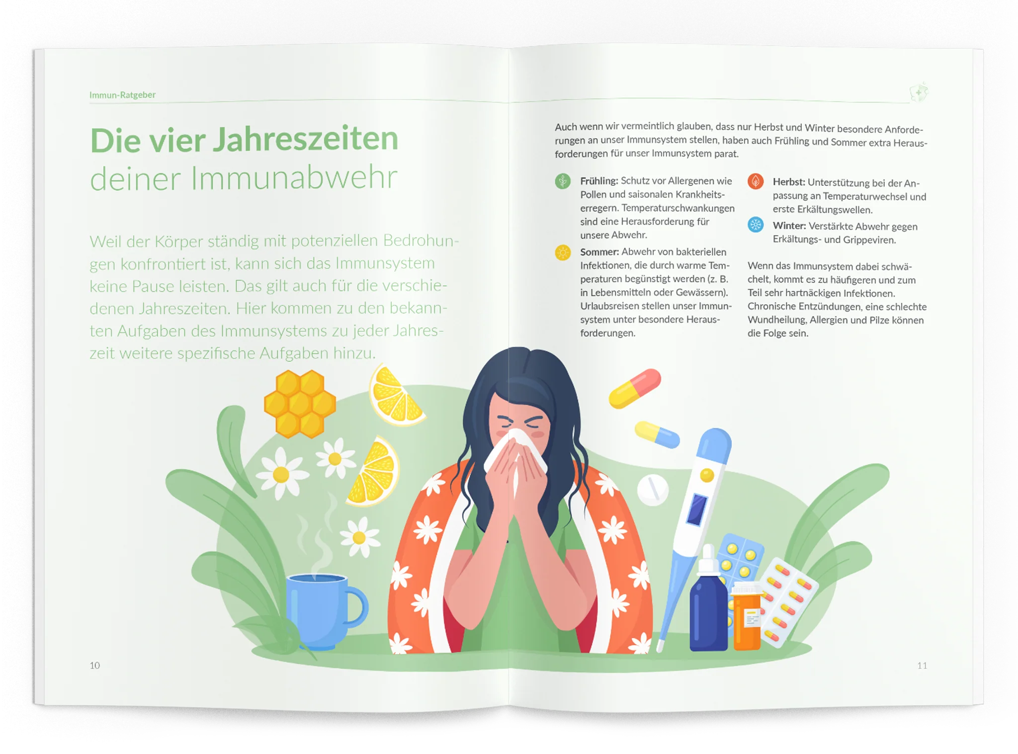 Vorschaubild 4