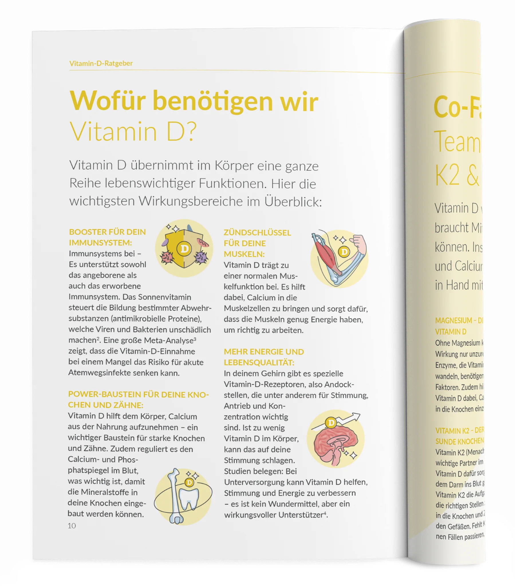 Vorschaubild 3