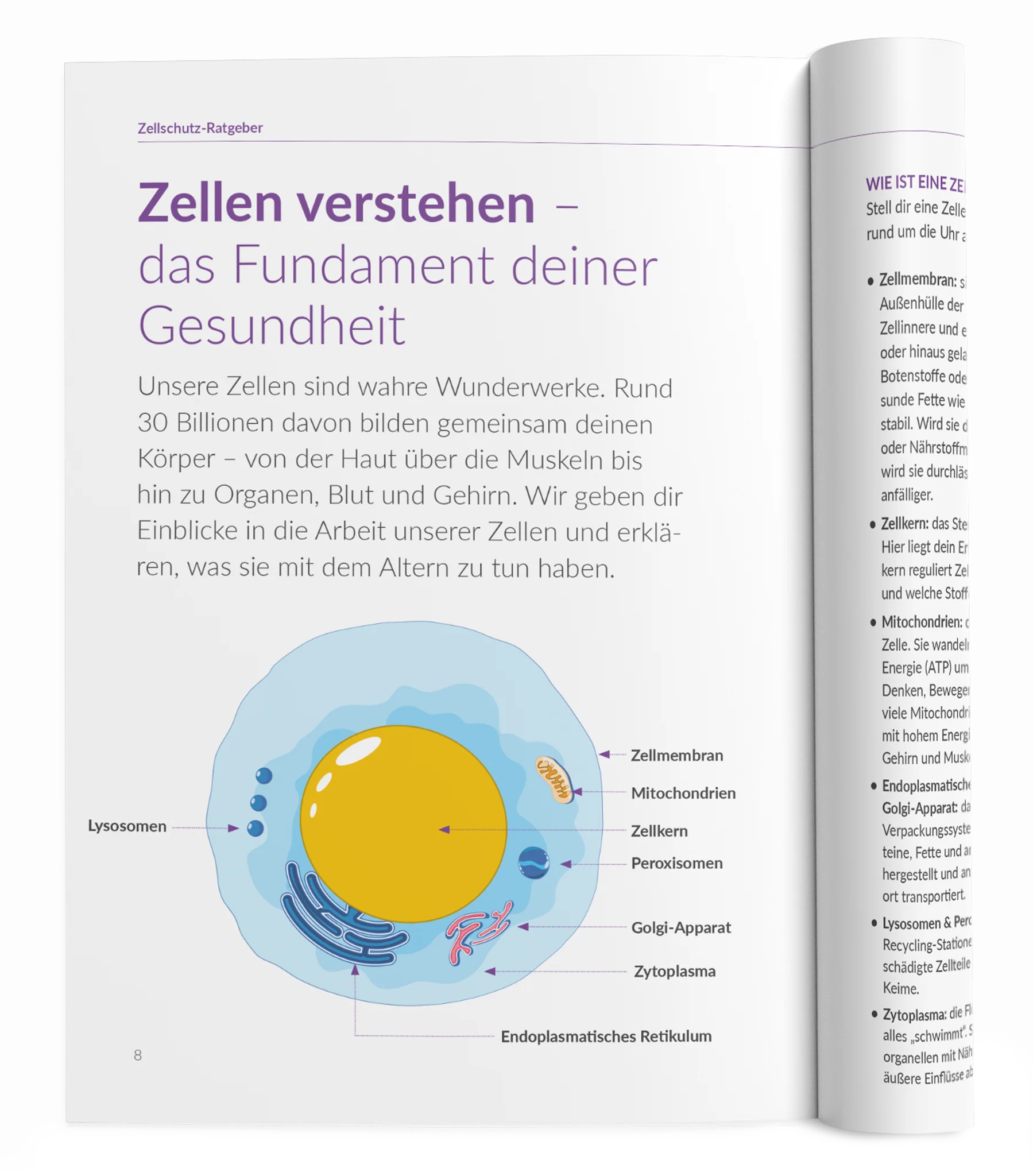 Vorschaubild 10
