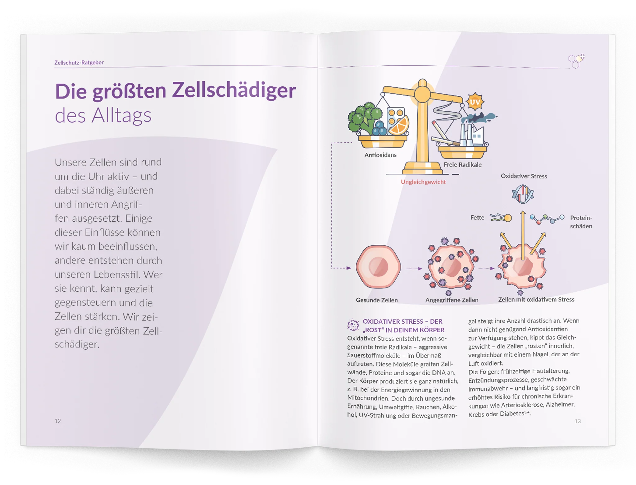 Vorschaubild 11