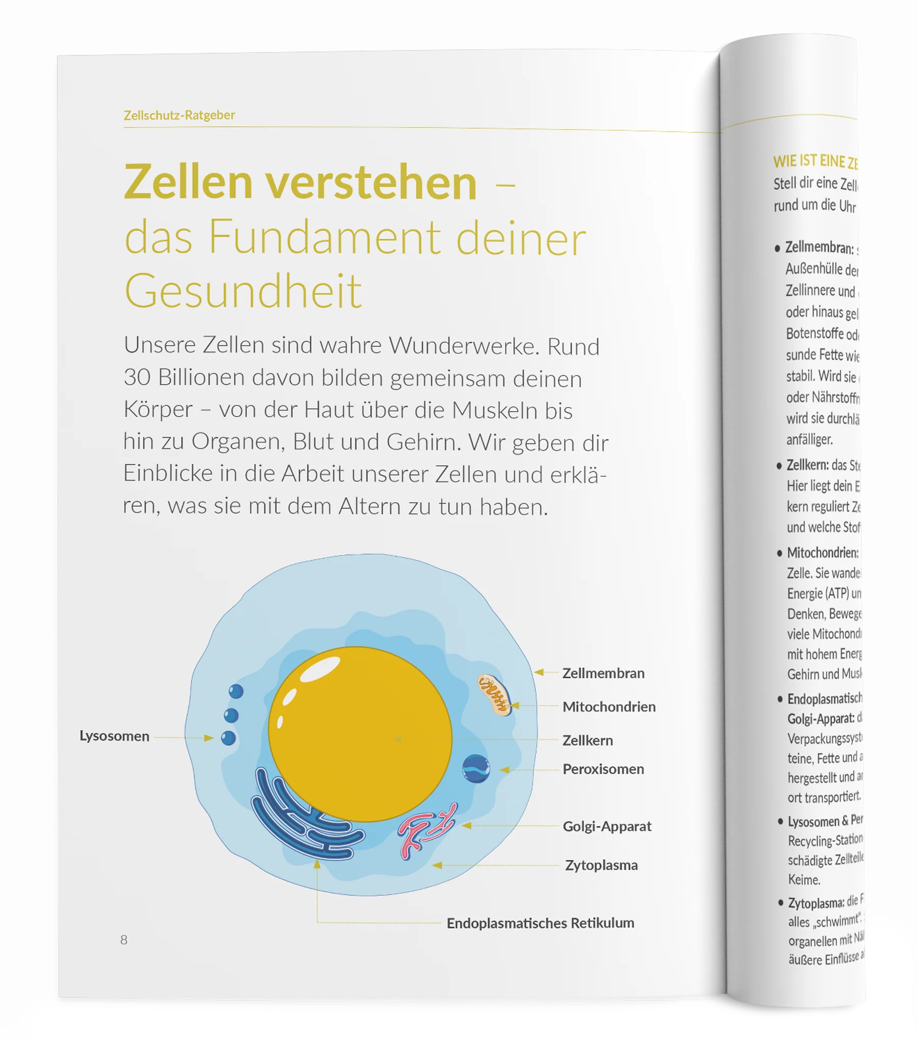 Vorschaubild 13