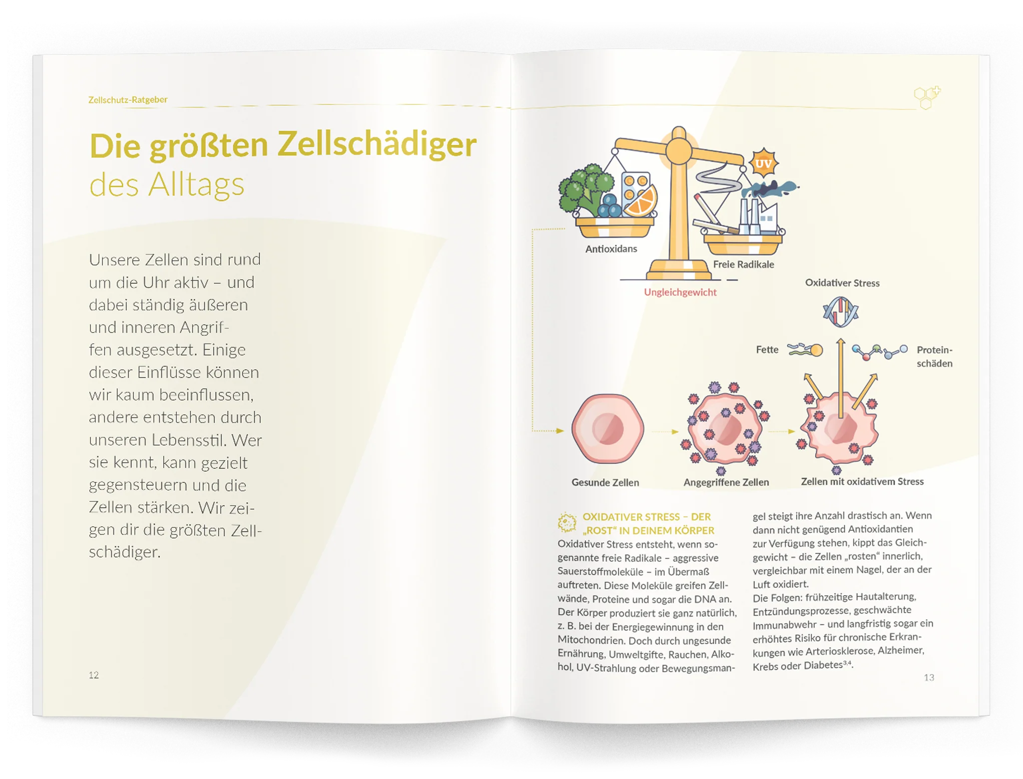 Vorschaubild 14