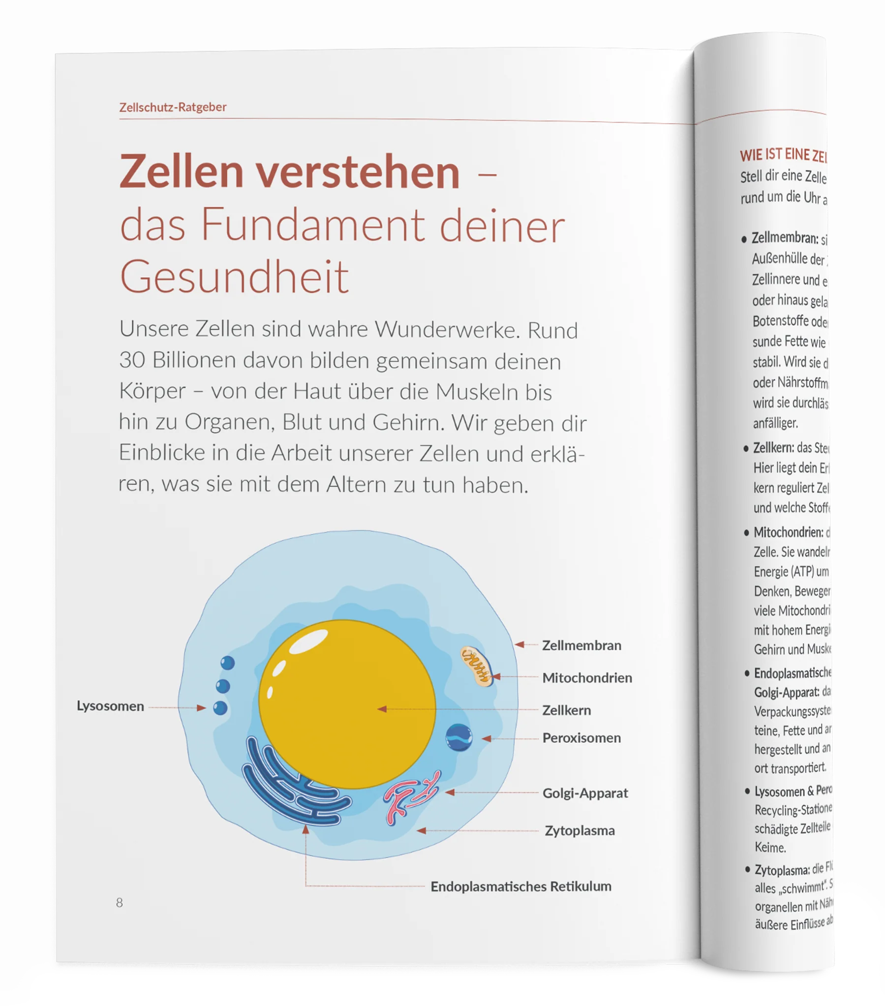 Vorschaubild 16