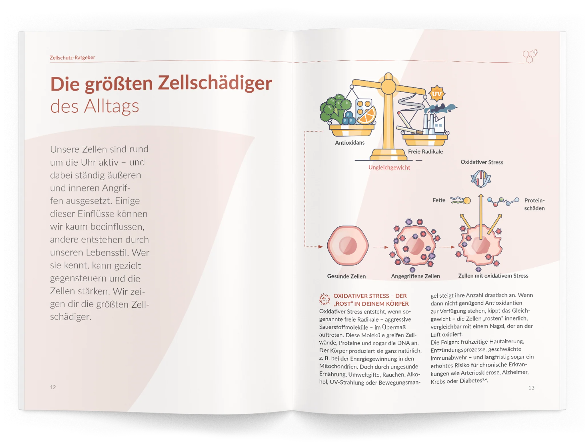 Vorschaubild 17