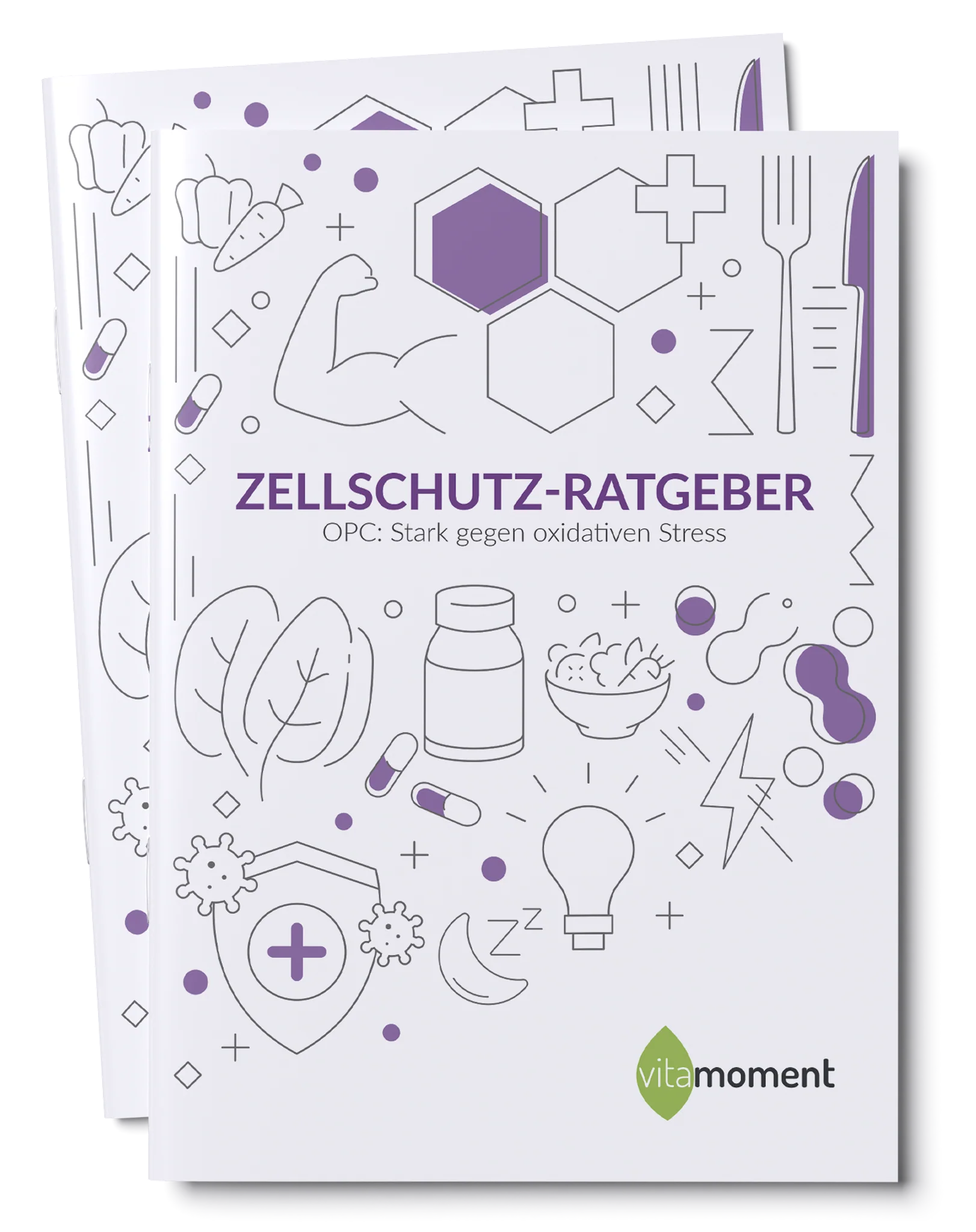 Vorschaubild 2