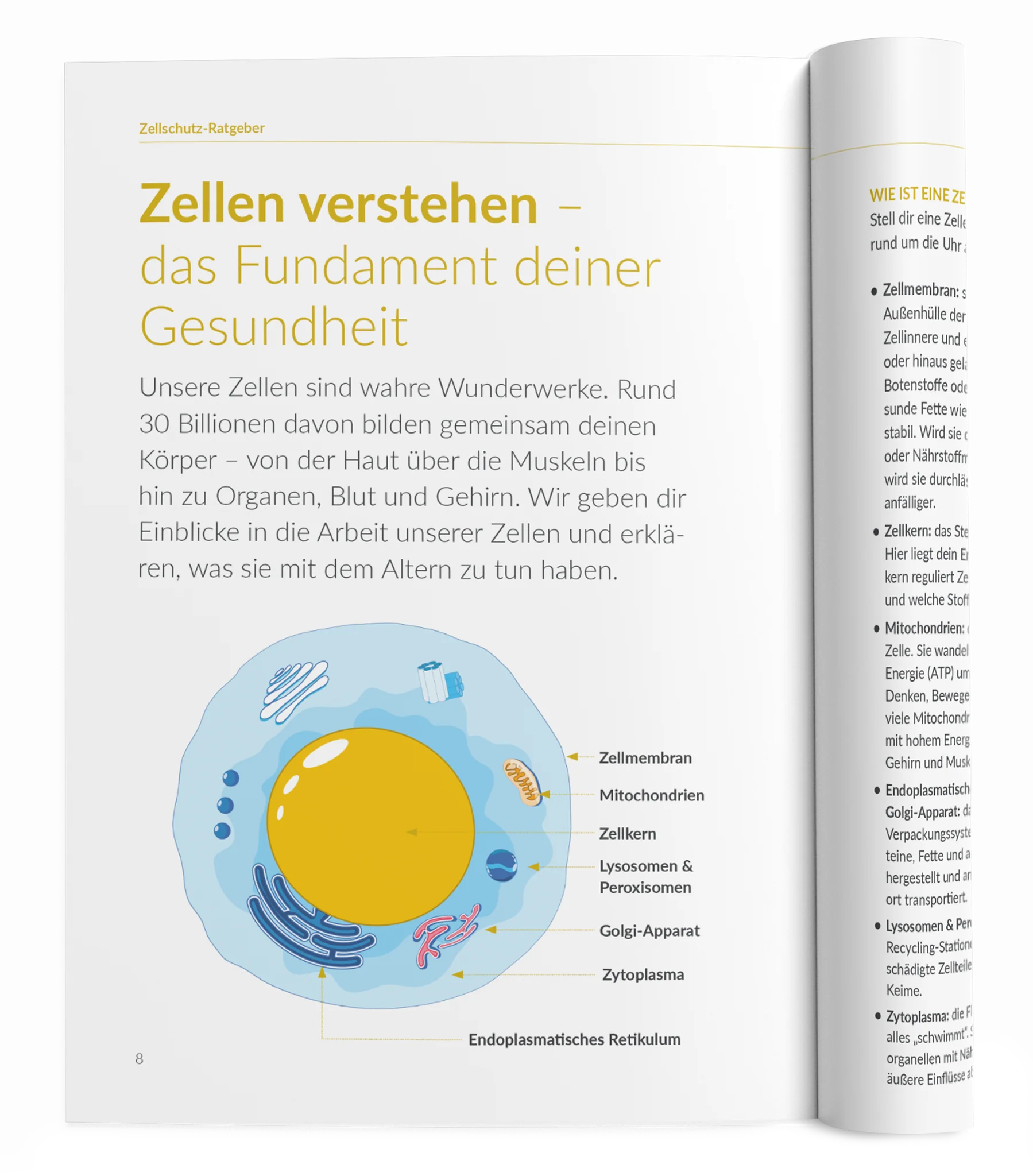 Vorschaubild 6