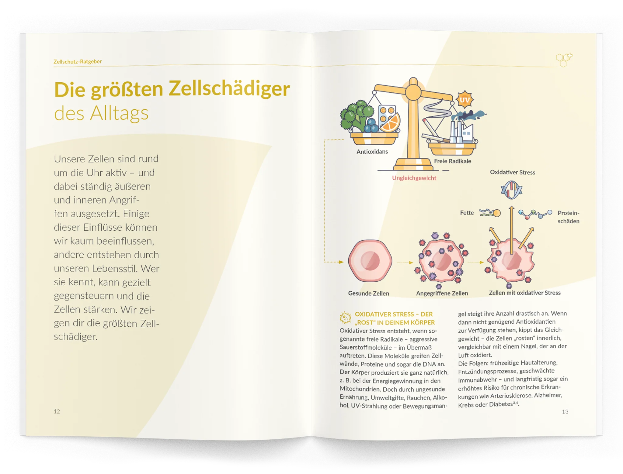 Vorschaubild 7
