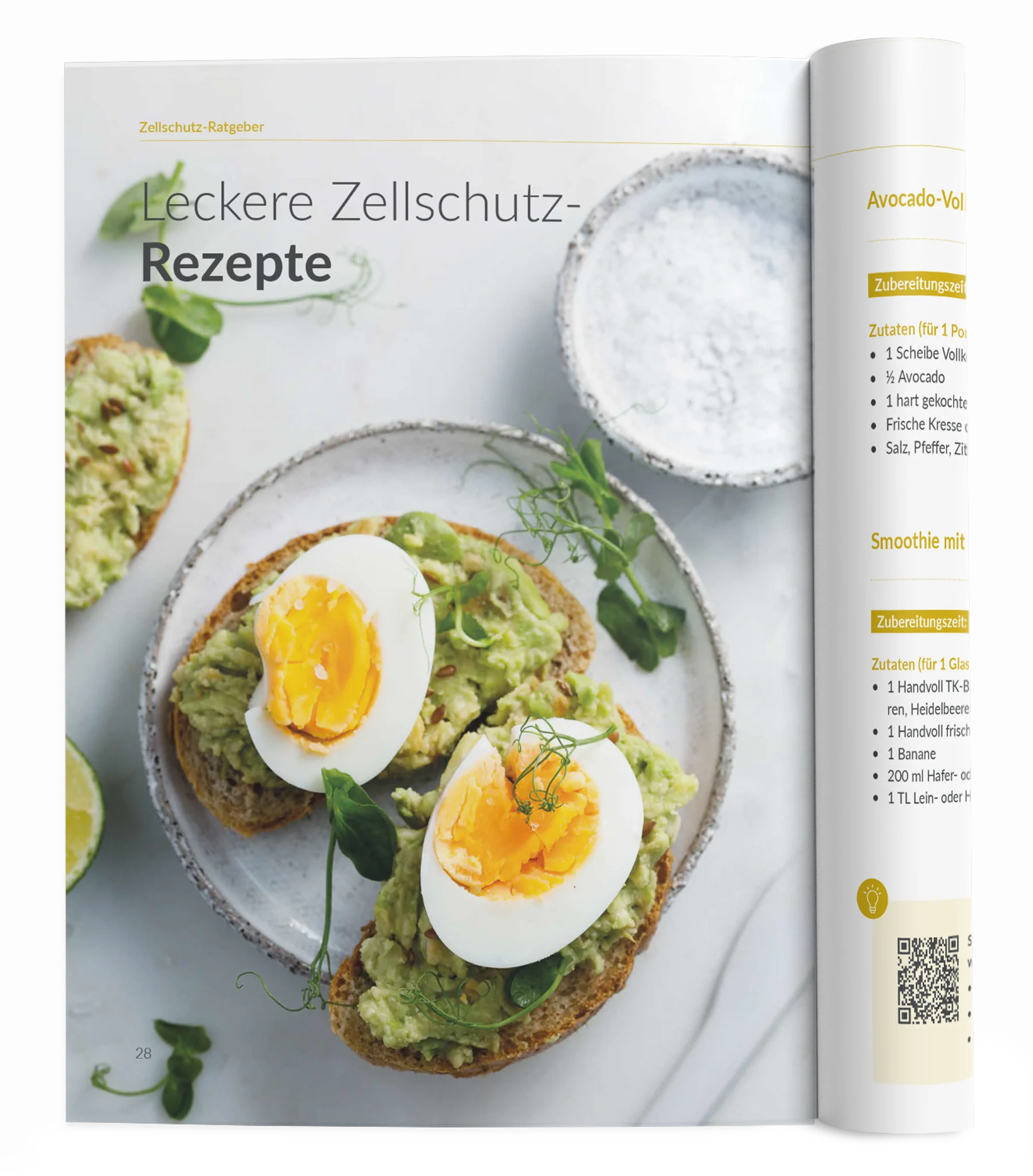 Vorschaubild 8